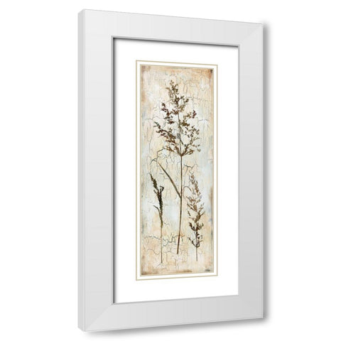 Delicate Nature III White Modern Wood Framed Art Print with Double Matting by Robinson, Carol