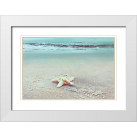 Beach Set Starfish White Modern Wood Framed Art Print with Double Matting by Nan