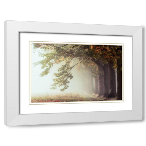 Dawnscratchers White Modern Wood Framed Art Print with Double Matting by Van de Goor, Lars