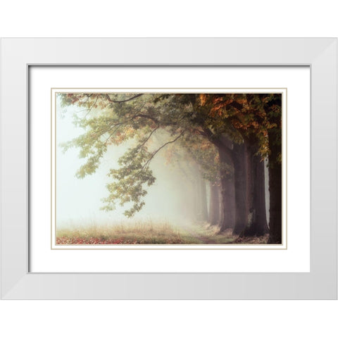 Dawnscratchers White Modern Wood Framed Art Print with Double Matting by Van de Goor, Lars
