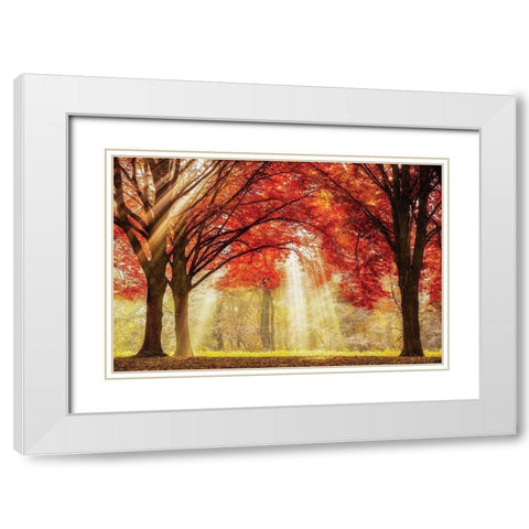 Everland White Modern Wood Framed Art Print with Double Matting by Van de Goor, Lars