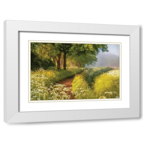 Spring in Holland White Modern Wood Framed Art Print with Double Matting by Van de Goor, Lars