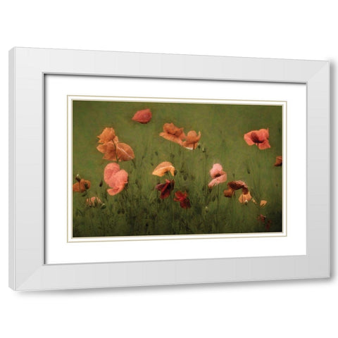 The Wild White Modern Wood Framed Art Print with Double Matting by Van de Goor, Lars