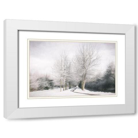 Winter is Here White Modern Wood Framed Art Print with Double Matting by Van de Goor, Lars