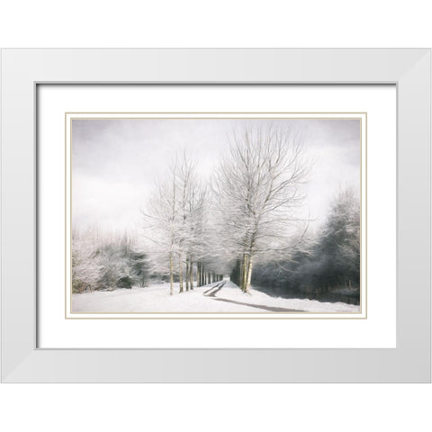 Winter is Here White Modern Wood Framed Art Print with Double Matting by Van de Goor, Lars