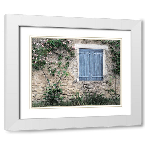 Roses In White Modern Wood Framed Art Print with Double Matting by Delimont, Danita