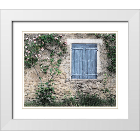 Roses In White Modern Wood Framed Art Print with Double Matting by Delimont, Danita