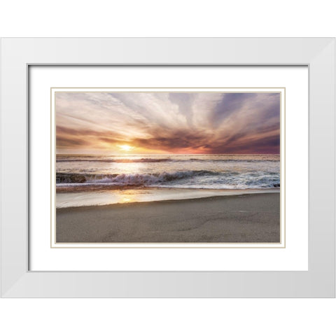 Point Reyes White Modern Wood Framed Art Print with Double Matting by Delimont, Danita