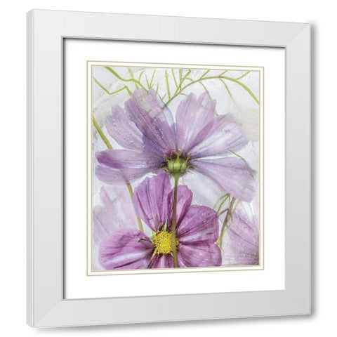Frozen In Time I White Modern Wood Framed Art Print with Double Matting by Disher, Mandy