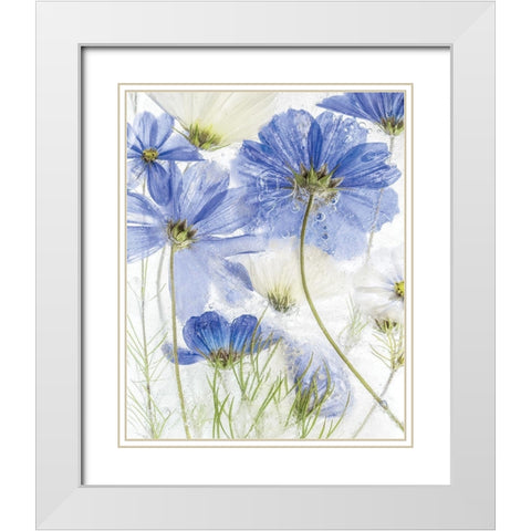 Frozen In Time II White Modern Wood Framed Art Print with Double Matting by Disher, Mandy