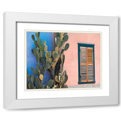 Cactus Profile White Modern Wood Framed Art Print with Double Matting by Delimont, Danita