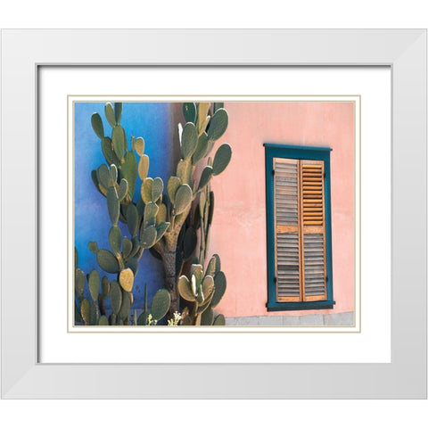 Cactus Profile White Modern Wood Framed Art Print with Double Matting by Delimont, Danita