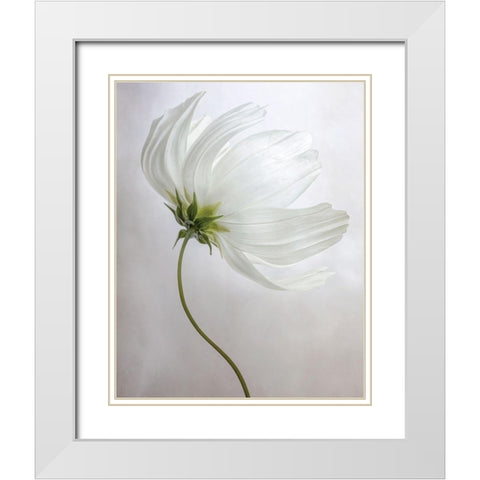 Etherial White Modern Wood Framed Art Print with Double Matting by Disher, Mandy