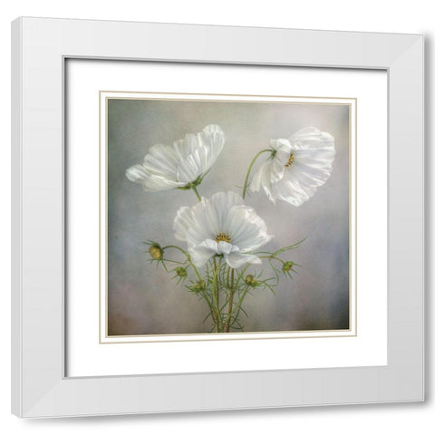 Still Life II White Modern Wood Framed Art Print with Double Matting by Disher, Mandy