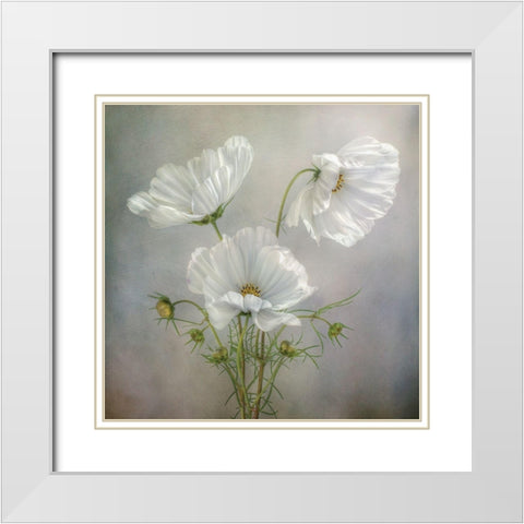 Still Life II White Modern Wood Framed Art Print with Double Matting by Disher, Mandy
