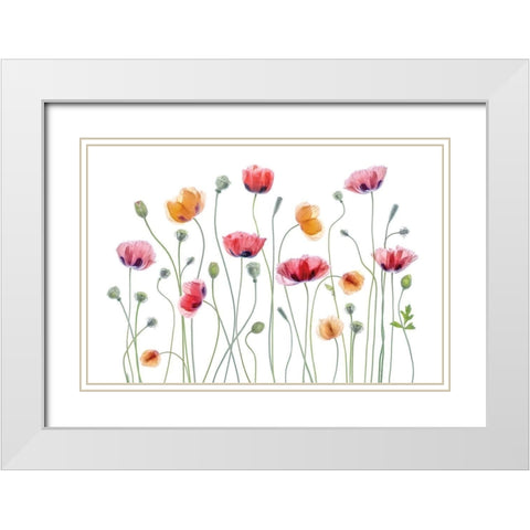 High Key Poppy White Modern Wood Framed Art Print with Double Matting by Disher, Mandy