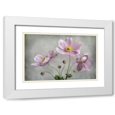 Textured Floral White Modern Wood Framed Art Print with Double Matting by Disher, Mandy