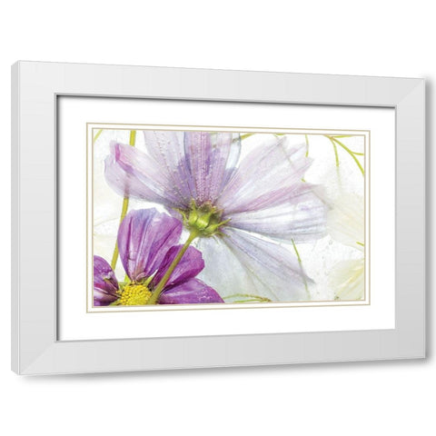 Frozen Floral I White Modern Wood Framed Art Print with Double Matting by Disher, Mandy