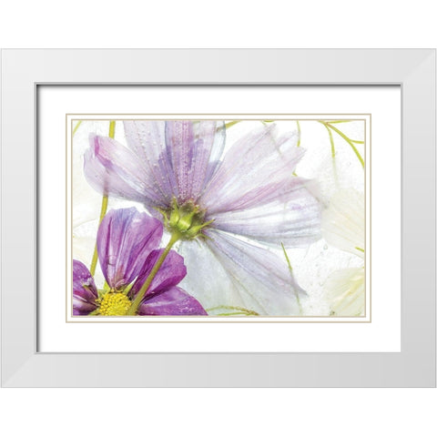 Frozen Floral I White Modern Wood Framed Art Print with Double Matting by Disher, Mandy