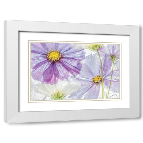Frozen Floral II White Modern Wood Framed Art Print with Double Matting by Disher, Mandy