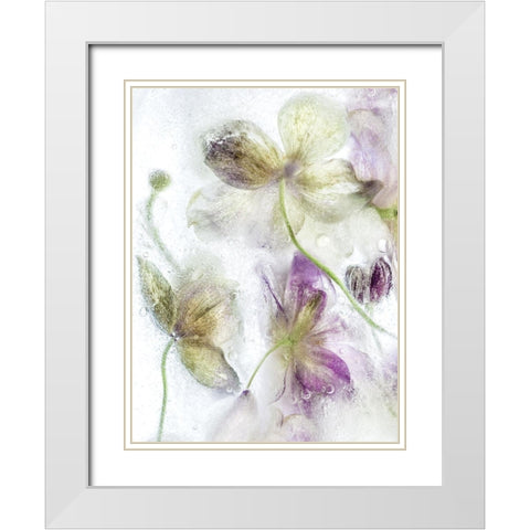 Frozen Floral IV White Modern Wood Framed Art Print with Double Matting by Disher, Mandy