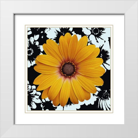 Black and Bloom White Modern Wood Framed Art Print with Double Matting by Burghardt, James