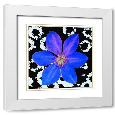 Black and Bloom White Modern Wood Framed Art Print with Double Matting by Burghardt, James