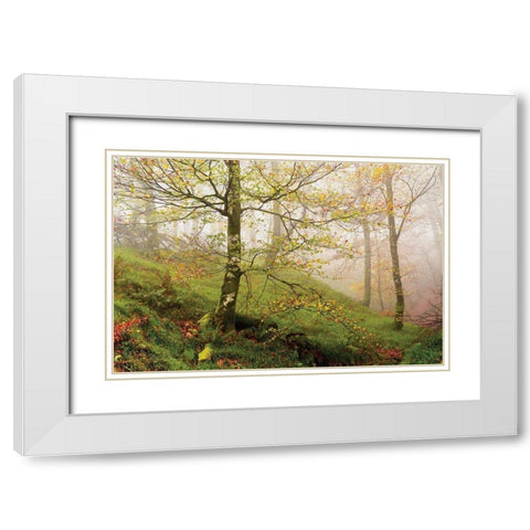 Spring Or White Modern Wood Framed Art Print with Double Matting by Van de Goor, Lars