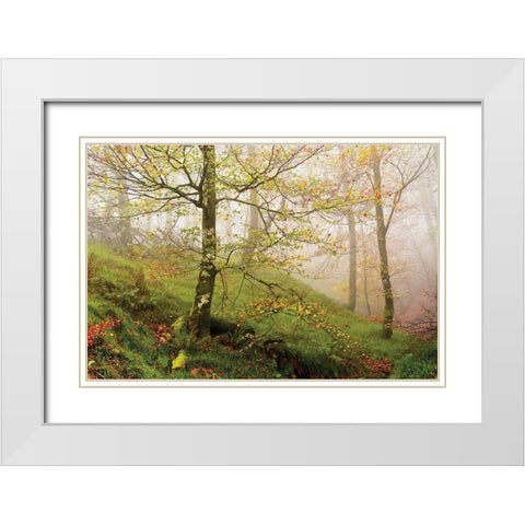Spring Or White Modern Wood Framed Art Print with Double Matting by Van de Goor, Lars