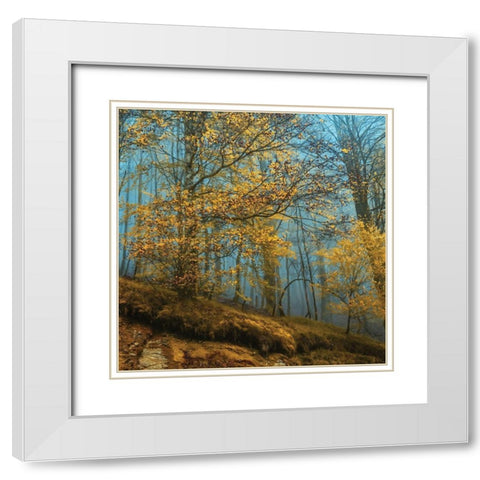 Playing The White Modern Wood Framed Art Print with Double Matting by Van de Goor, Lars
