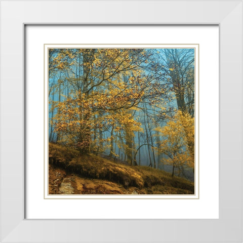 Playing The White Modern Wood Framed Art Print with Double Matting by Van de Goor, Lars