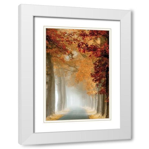 Wonder Curve White Modern Wood Framed Art Print with Double Matting by Van de Goor, Lars