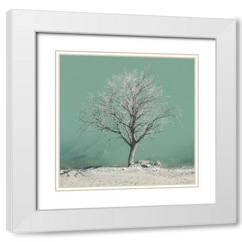 Wet Feet White Modern Wood Framed Art Print with Double Matting by Van de Goor, Lars