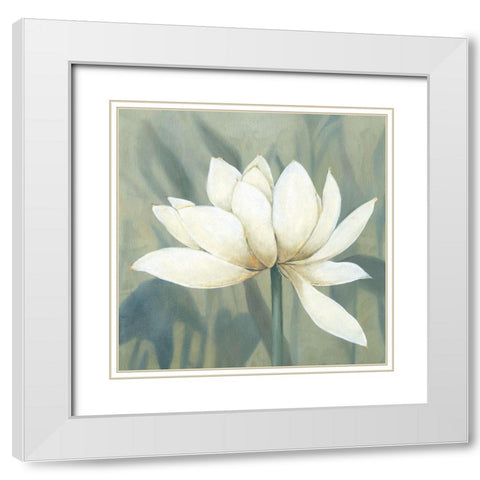 Waterlily II White Modern Wood Framed Art Print with Double Matting by Robinson, Carol
