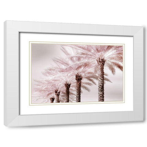 Stately Palms White Modern Wood Framed Art Print with Double Matting by Delimont, Danita