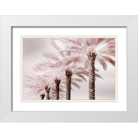 Stately Palms White Modern Wood Framed Art Print with Double Matting by Delimont, Danita