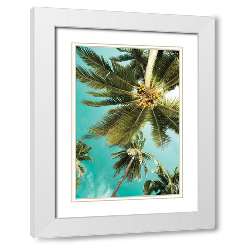 Palms Up White Modern Wood Framed Art Print with Double Matting by Delimont, Danita