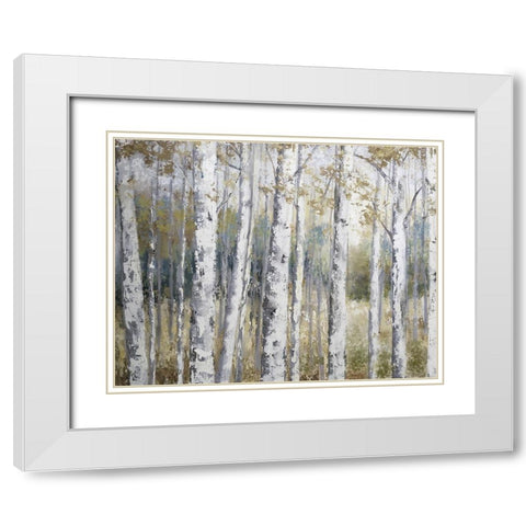 Hidden Birch White Modern Wood Framed Art Print with Double Matting by Nan