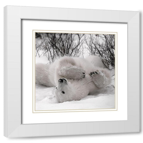 Hudson Bay White Modern Wood Framed Art Print with Double Matting by Delimont, Danita