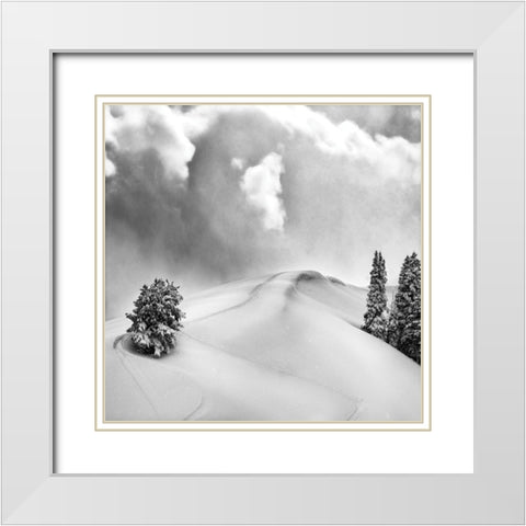 Fresh Powder White Modern Wood Framed Art Print with Double Matting by Delimont, Danita