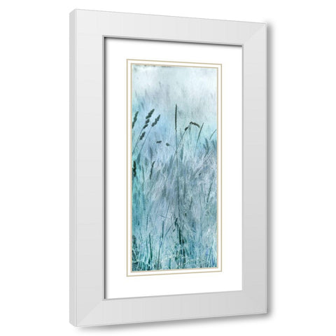 Blue Field White Modern Wood Framed Art Print with Double Matting by Weisz, Irene