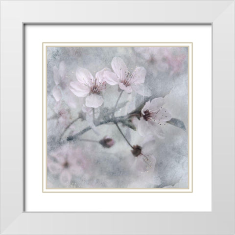 Spring White Modern Wood Framed Art Print with Double Matting by Weisz, Irene