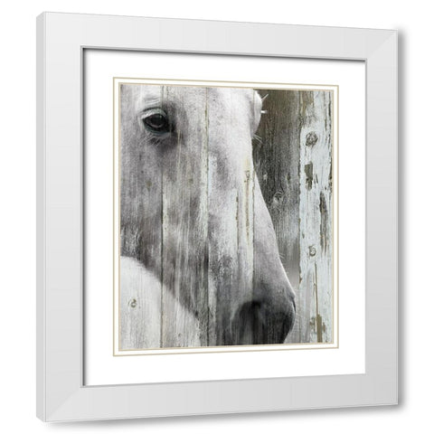 Contemplation White Modern Wood Framed Art Print with Double Matting by Robinson, Carol