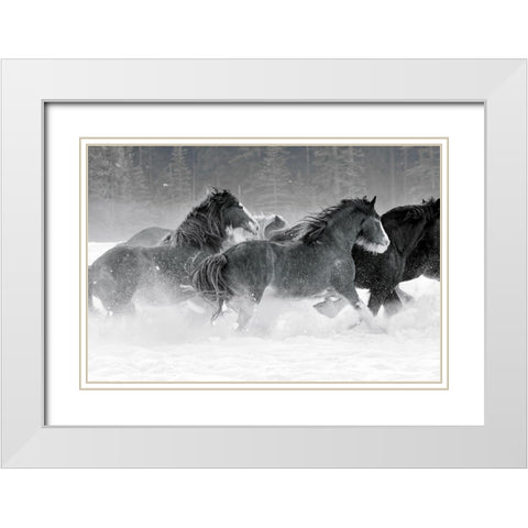Winter Roundup I White Modern Wood Framed Art Print with Double Matting by Delimont, Danita