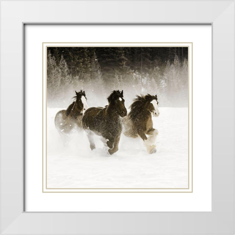 Winter Roundup II White Modern Wood Framed Art Print with Double Matting by Delimont, Danita