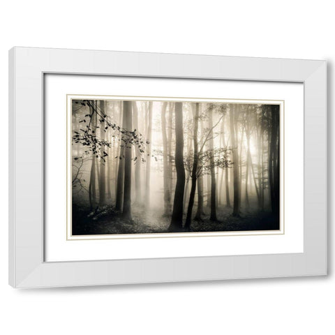 Light is Always White Modern Wood Framed Art Print with Double Matting by Weisz, Irene