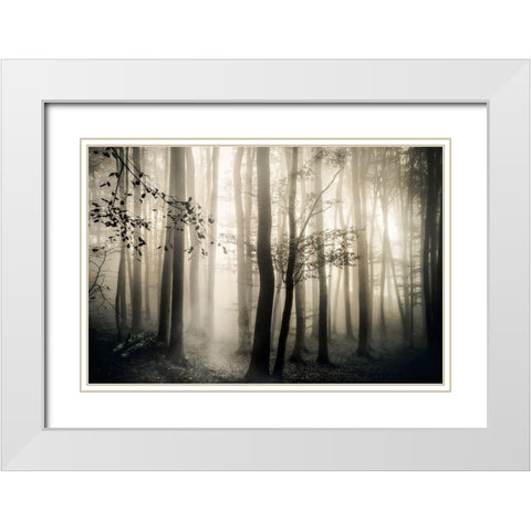 Light is Always White Modern Wood Framed Art Print with Double Matting by Weisz, Irene