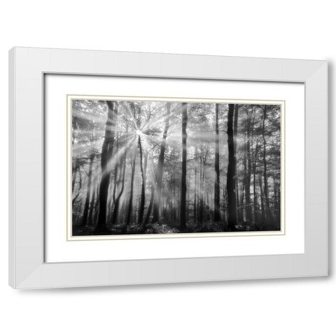 Breaking Through White Modern Wood Framed Art Print with Double Matting by Weisz, Irene