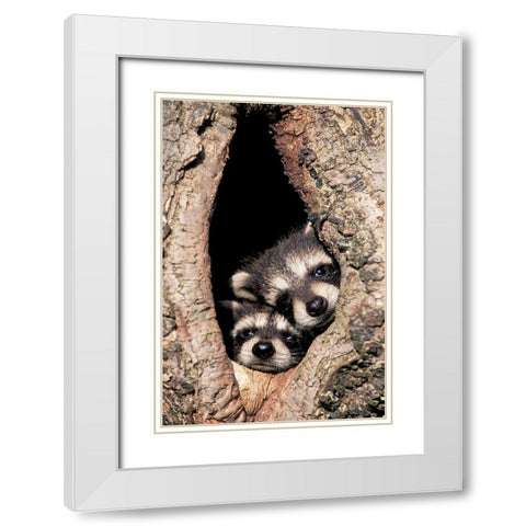 Peeking Out White Modern Wood Framed Art Print with Double Matting by Jones, Adam