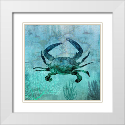 Pacific Crab White Modern Wood Framed Art Print with Double Matting by Nan